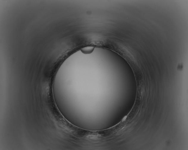 X0000093480595200710191208