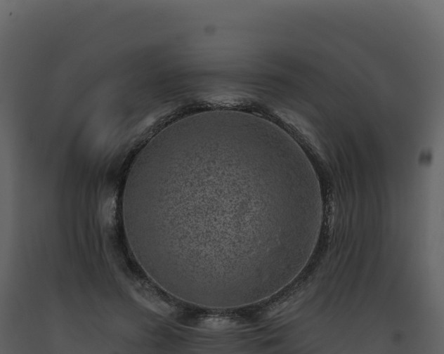 X0000093480596200710191208