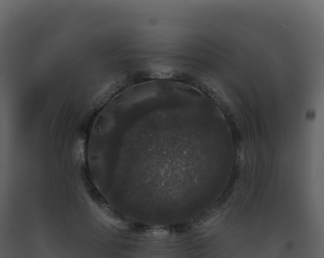 X0000093480598200710191208