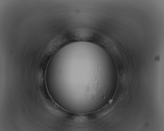 X0000093480599200710191208