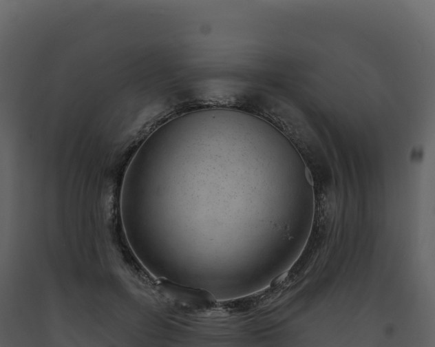 X0000093480600200710191208