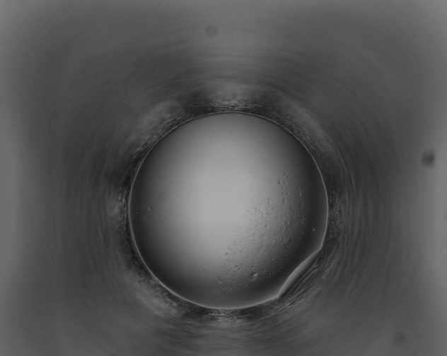 X0000093480601200710191208