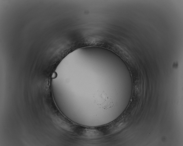 X0000093480605200710191208