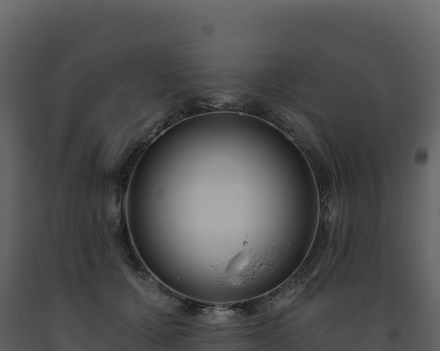 X0000093480607200710191208