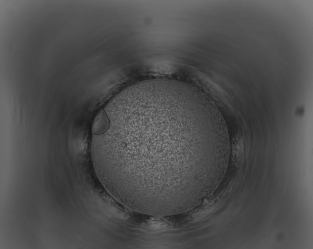 X0000093480608200710191208