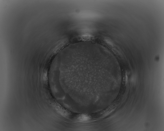 X0000093480610200710191208