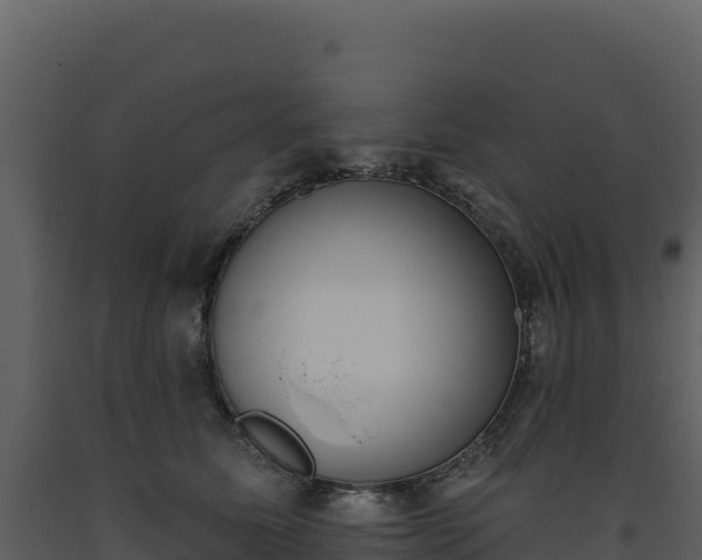 X0000093480611200710191208