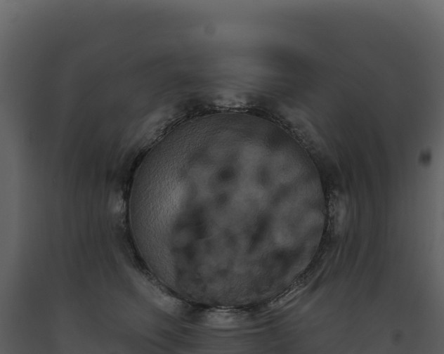 X0000093480614200710191208