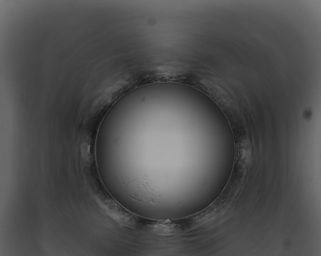 X0000093480615200710191208