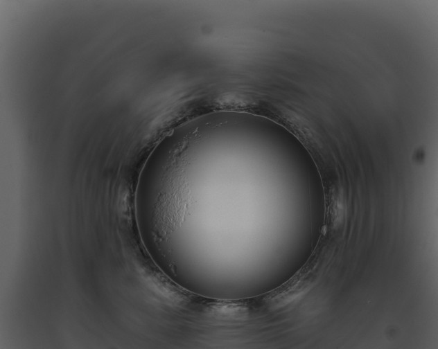 X0000093480619200710191207