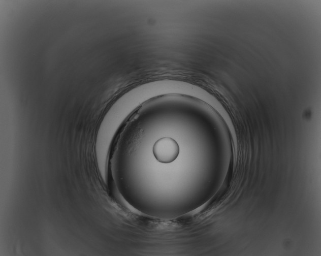 X0000093480621200710191207