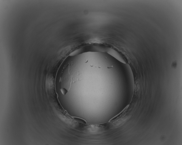 X0000093480623200710191207