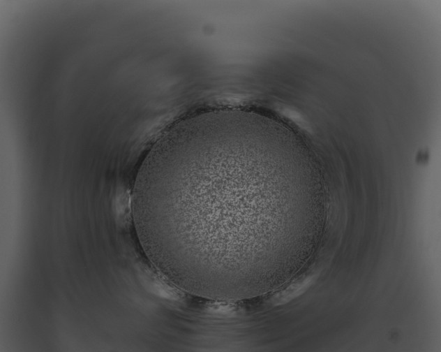 X0000093480624200710191207