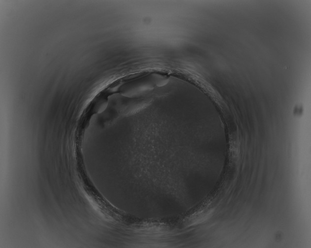 X0000093480626200710191207