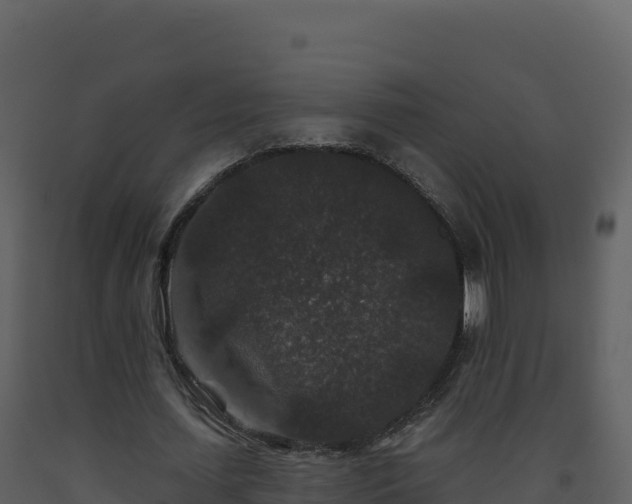 X0000093480627200710191207
