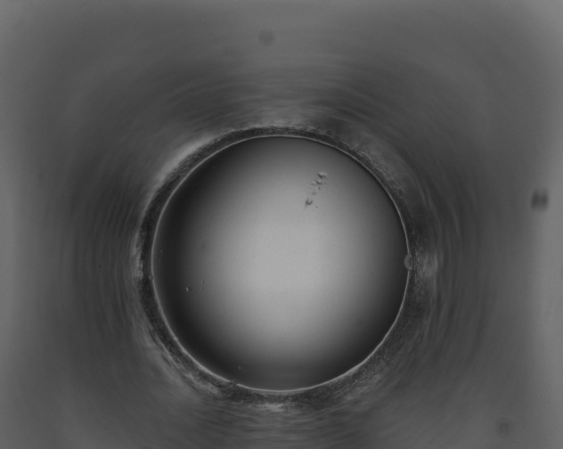 X0000093480628200710191207
