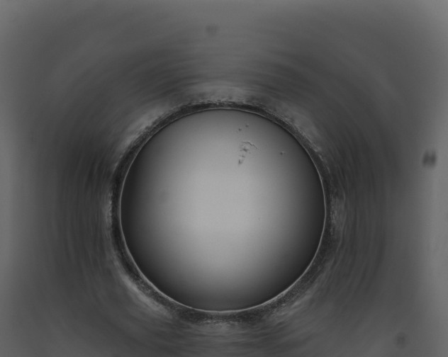 X0000093480629200710191207