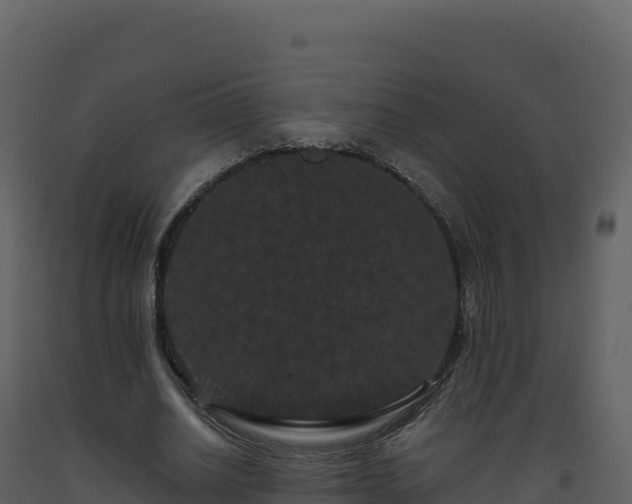 X0000093480630200710191207