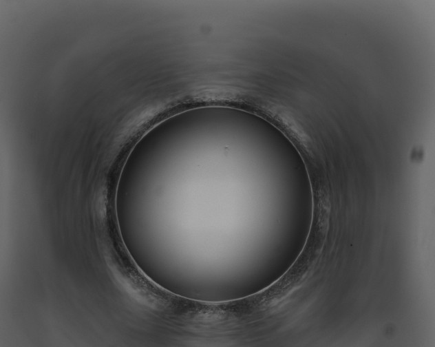 X0000093480631200710191207