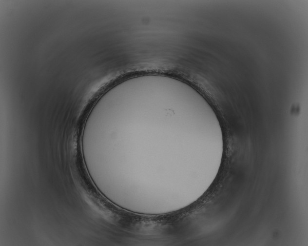 X0000093480632200710191207