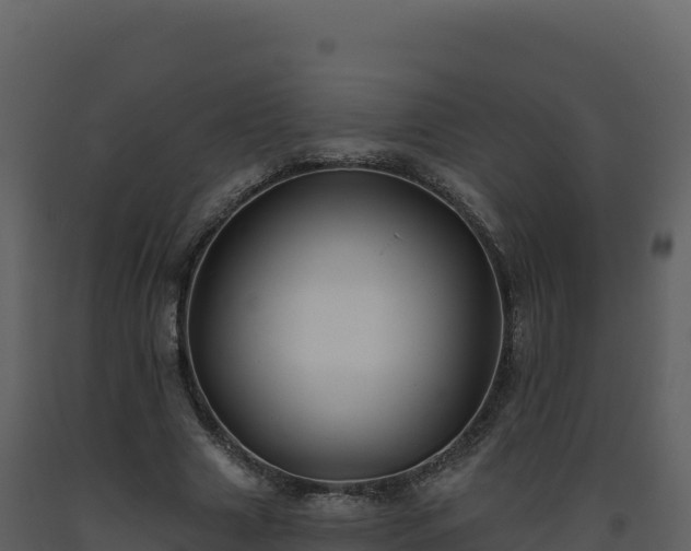 X0000093480633200710191207