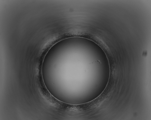 X0000093480635200710191207