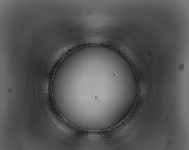 X0000093480636200710191207