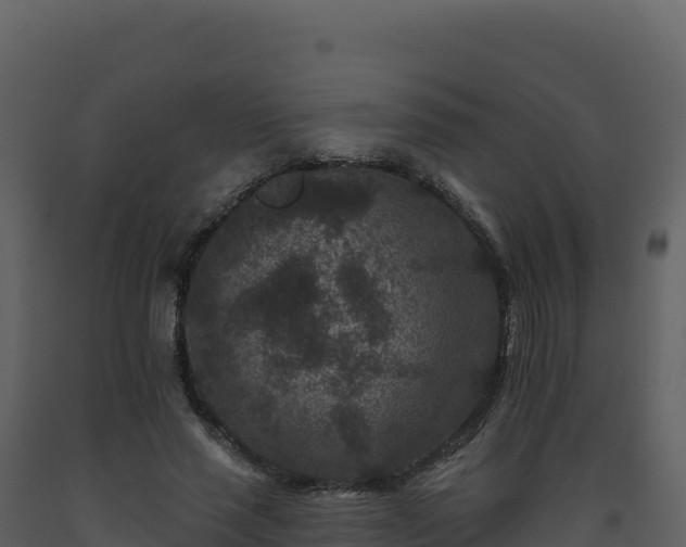 X0000093480637200710191207