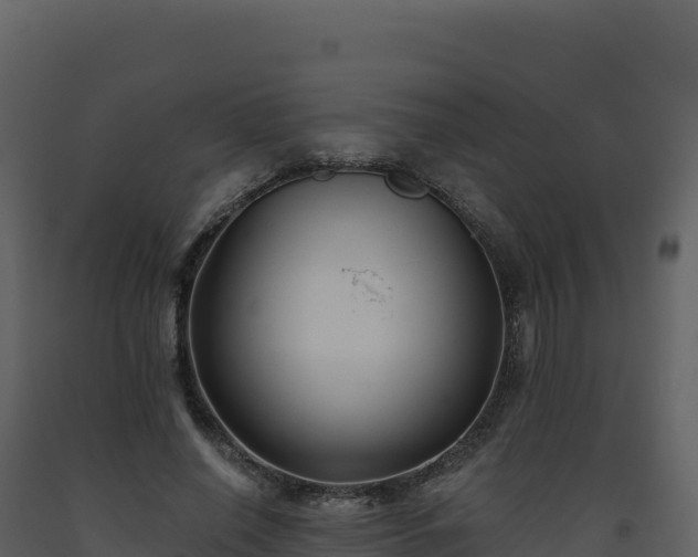 X0000093480638200710191207