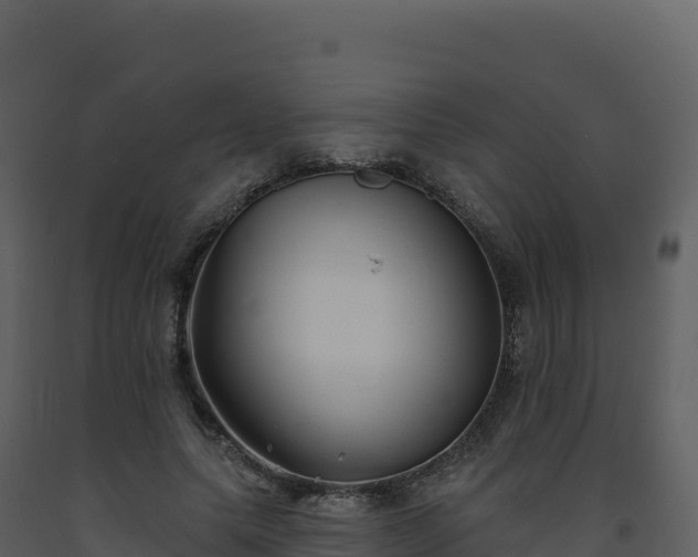 X0000093480639200710191207