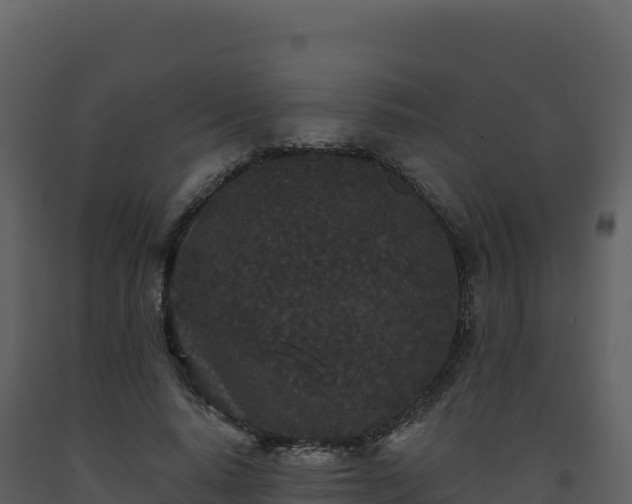 X0000093480640200710191207