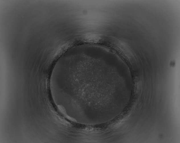 X0000093480641200710191207