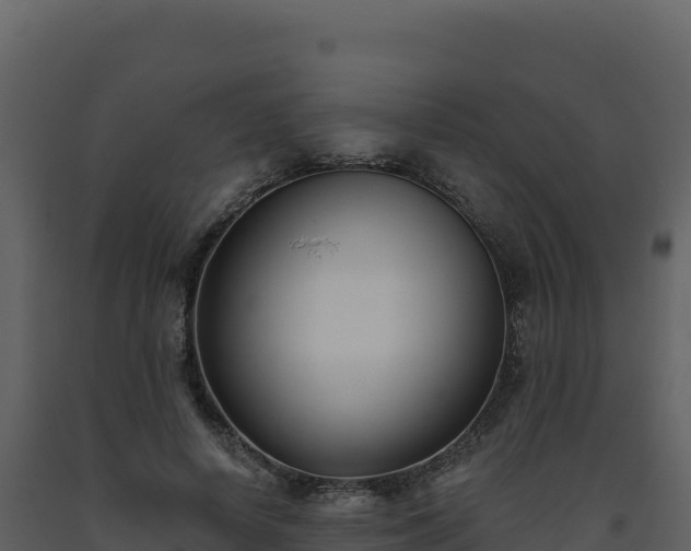 X0000093480642200710191207