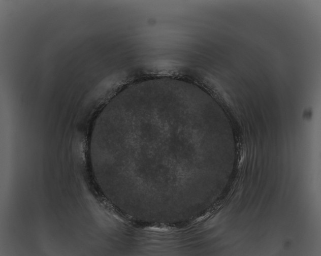 X0000093480643200710191207