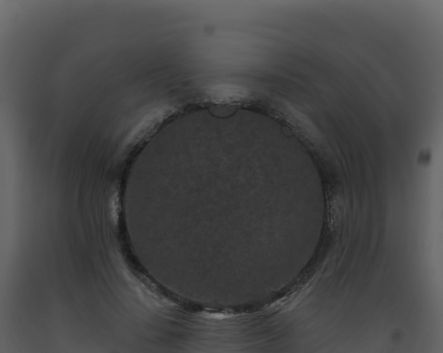 X0000093480644200710191207