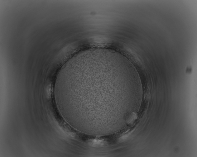 X0000093480647200710191207