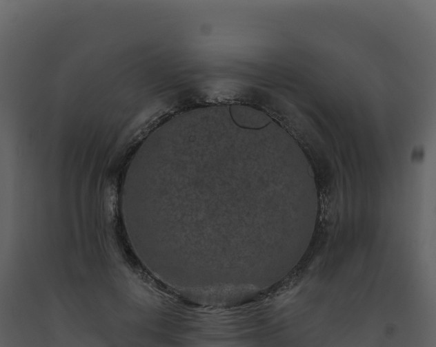 X0000093480648200710191207