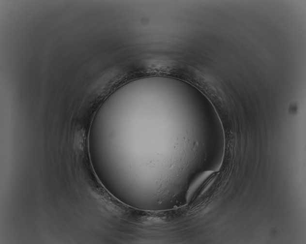X0000093480649200710191207