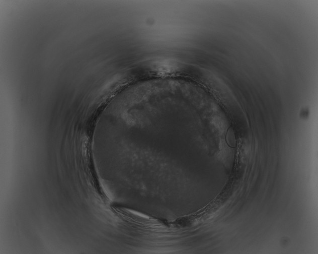X0000093480650200710191207
