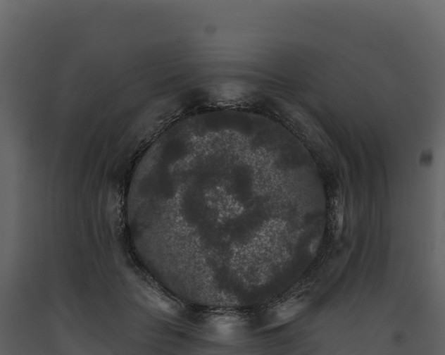 X0000093480653200710191207