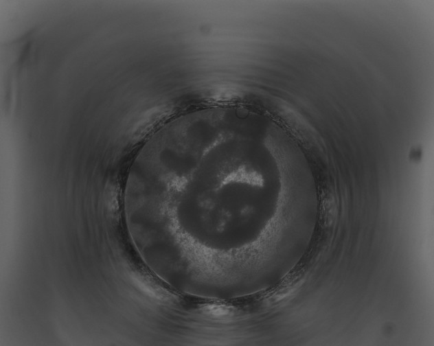 X0000093480654200710191207
