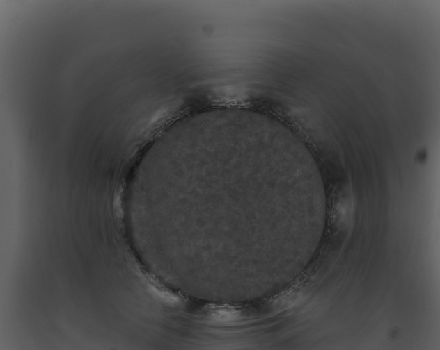 X0000093480658200710191207