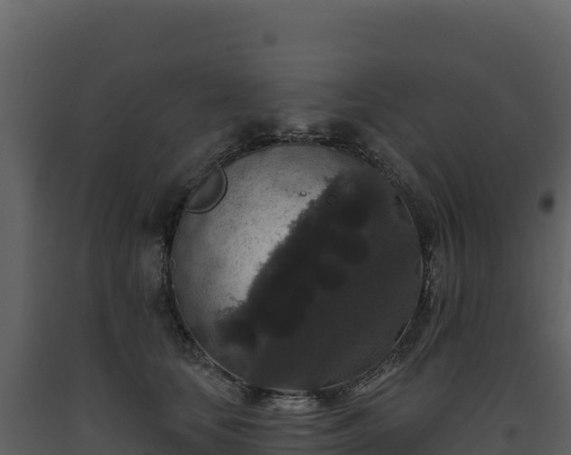 X0000093480659200710191207