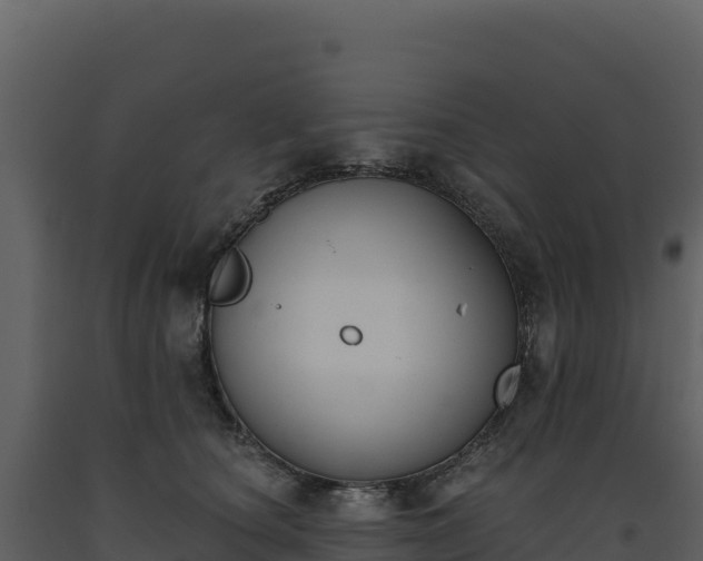 X0000093480660200710191207