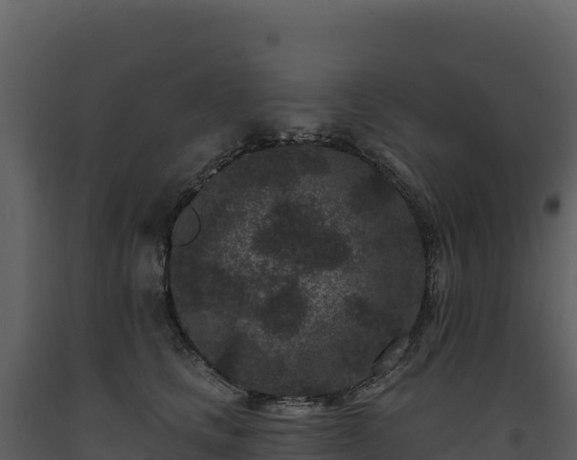 X0000093480661200710191207