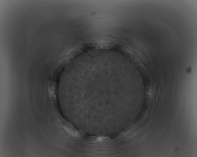 X0000093480663200710191207