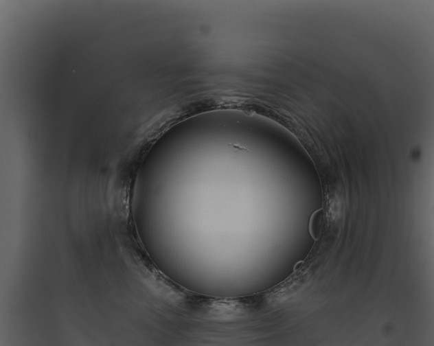 X0000093480666200710191207