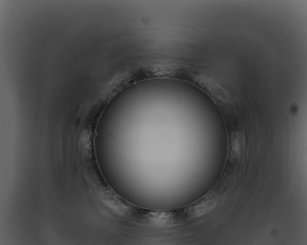 X0000093480667200710191207