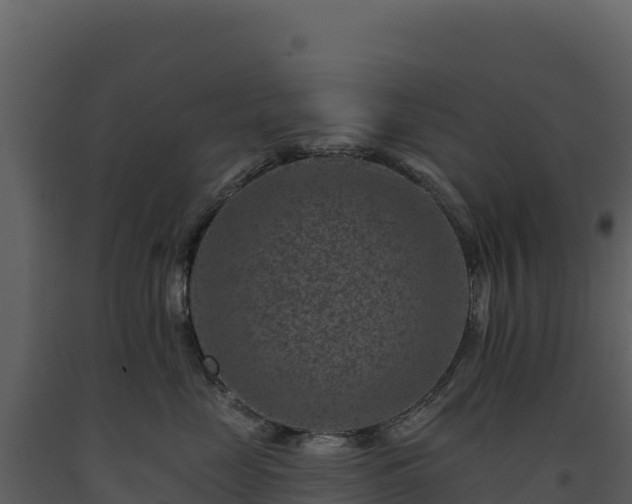 X0000093480669200710191207