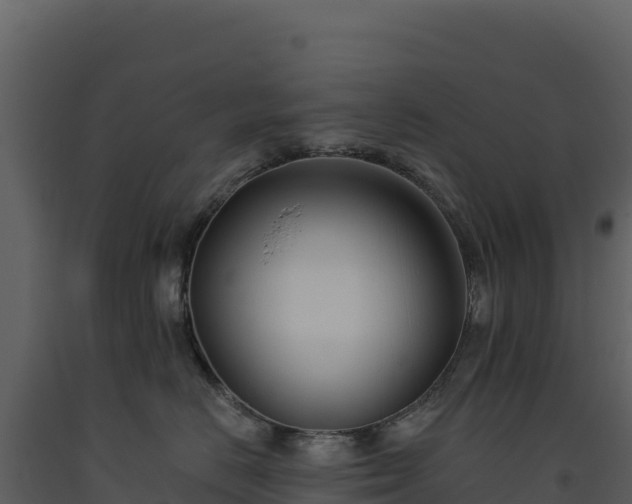 X0000093480670200710191207
